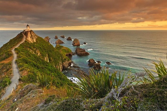  Nugget Point    (700x466, 378Kb)