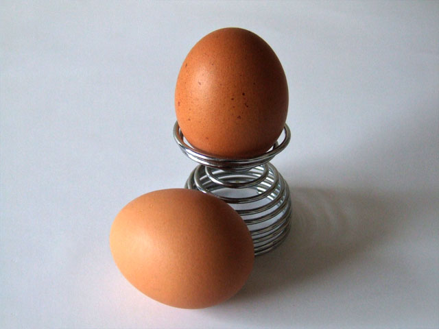 Eggs-5486 (640x480, 68Kb)