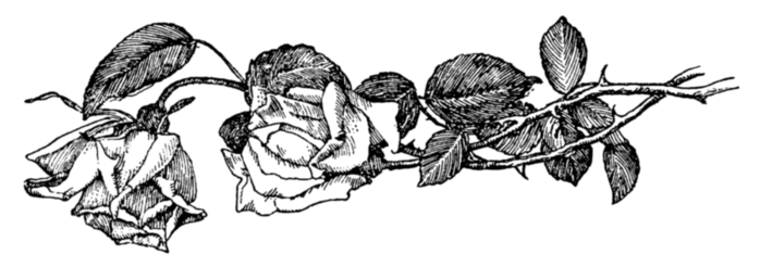 78846413_large_roses003 (700x246, 61Kb)