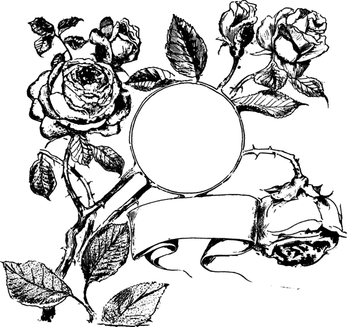 78846516_large_roses031 (700x659, 144Kb)