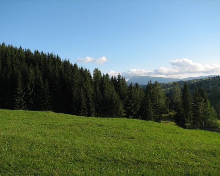 karpaty_1280_4 (700x560, 281Kb)