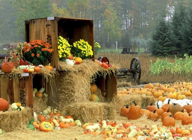 78401866_large_78325501_PicsDesktop_net_36 (650x475, 158Kb)