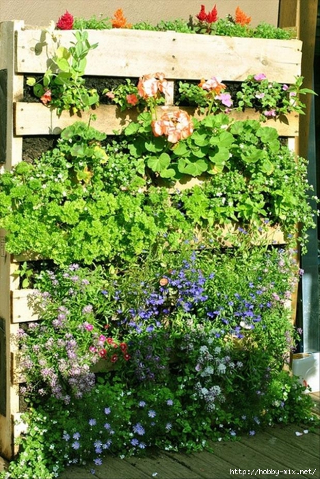 pallets-used-in-the-garden (468x700, 372Kb)