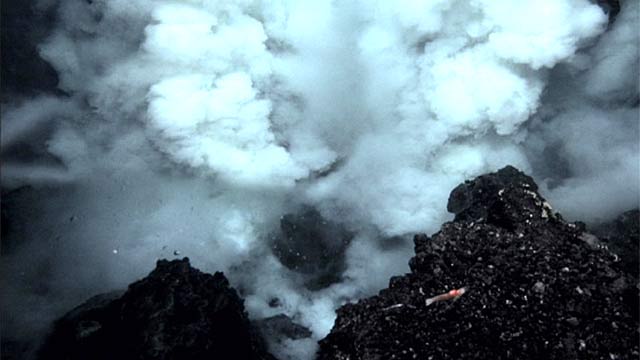 4489040_1 (640x360, 27Kb)