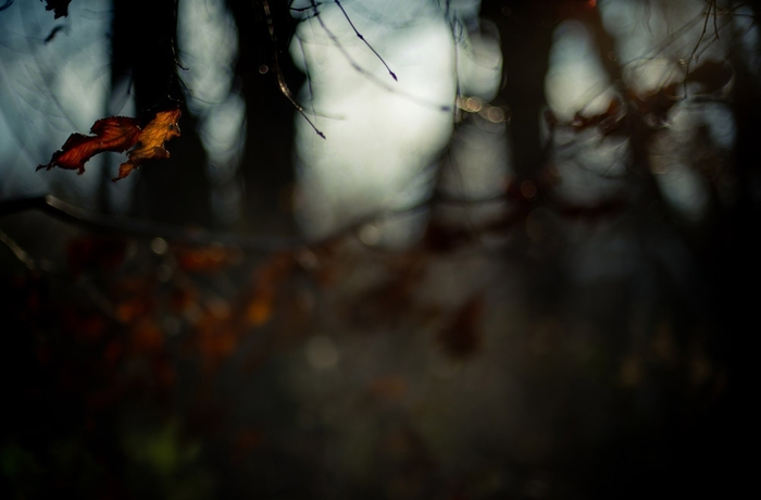 2387816_78f7c1ad (700x460, 117Kb)
