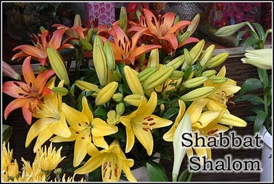 shabbat-shalom-20091002-500 (400x268, 38Kb)