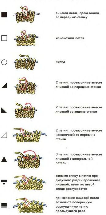 Передняя стенка петли