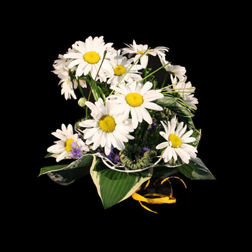 bouquet_2353 (510x510, 147Kb)