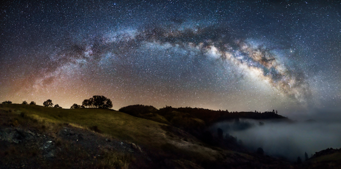 MichaelShainblum2 (700x346, 439Kb)