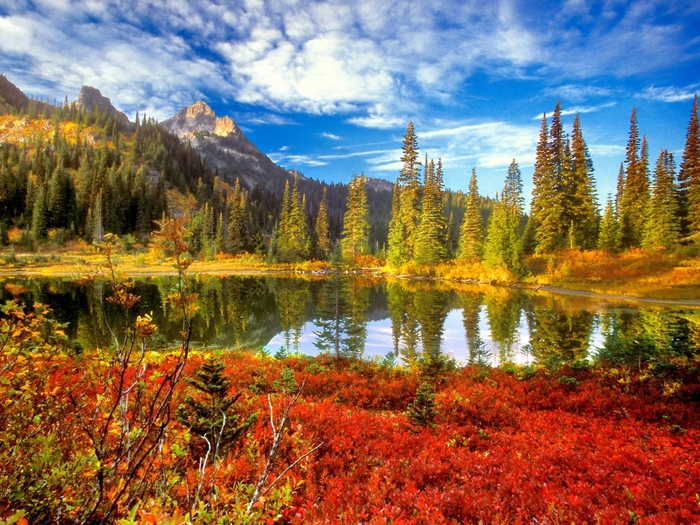 Fall in the Tatoosh Wilderness, Mount Rainier National Park, Washington (700x525, 385Kb)