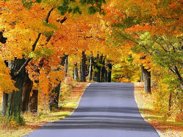 The Road Less Traveled, Door County, Wisconsin (700x525, 415Kb)