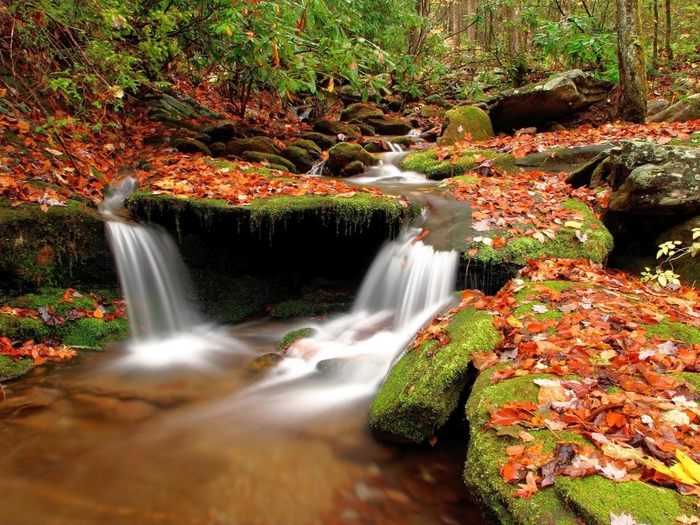 Wesser Creek in Nantahala National Forest, North Carolina (700x525, 359Kb)