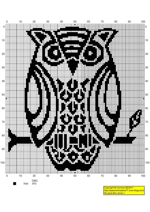 Как нарисовать сову карандашом? :: l2luna.ru