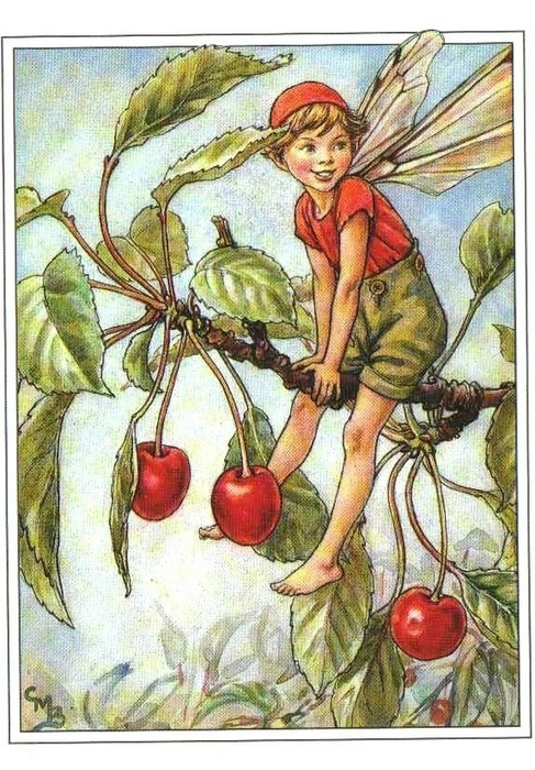 Cherry Tree Fairy (487x700, 308Kb)