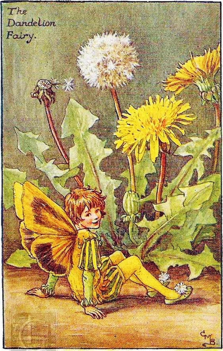 Dandelion Fairy copy (444x700, 351Kb)