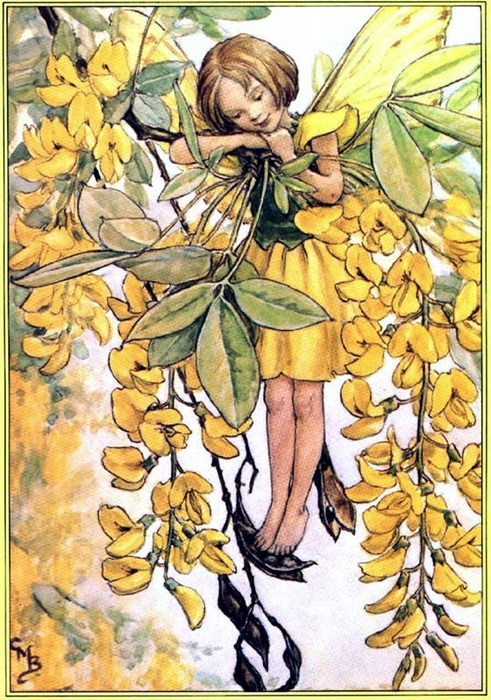 Laburnum fairy (491x700, 340Kb)