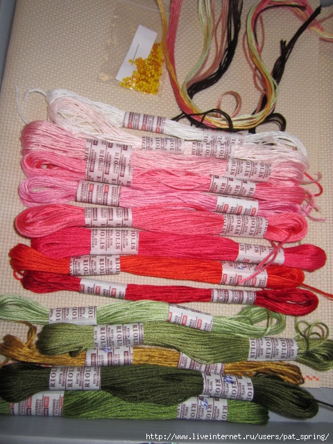 Riolis_100-032-floss (480x640, 279Kb)