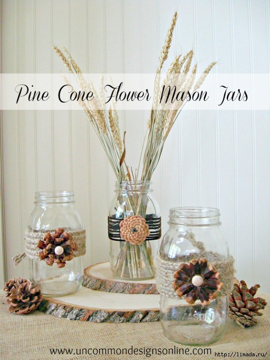 mason-jar-pine-cone-flowers-wm (525x700, 295Kb)