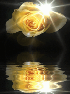 258445 (240x320, 321Kb)