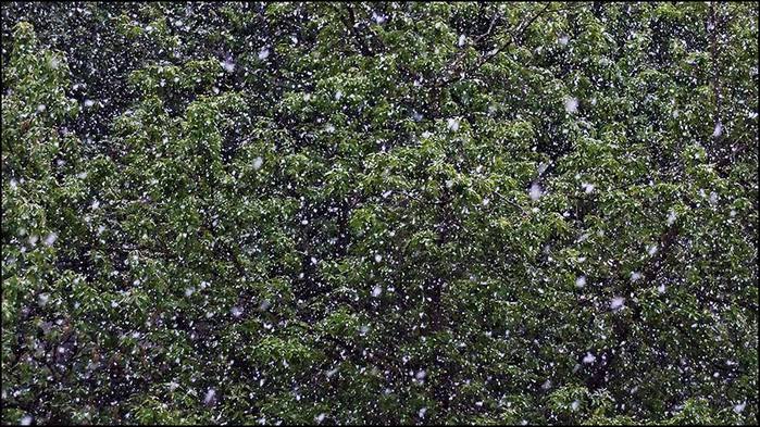  /3673959_1 (700x393, 116Kb)