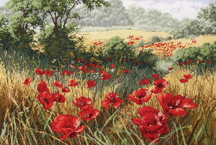 5630023_Anchor_APC935_A_Host_of_Poppies (700x471, 378Kb)