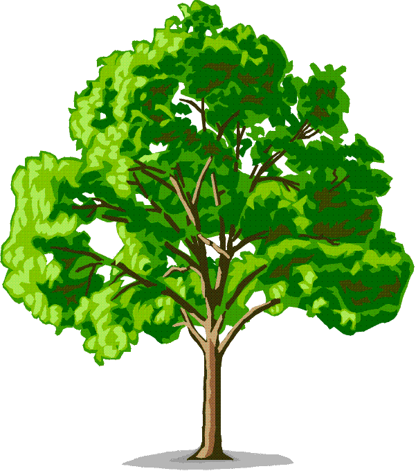 tree2 (601x680, 49Kb)