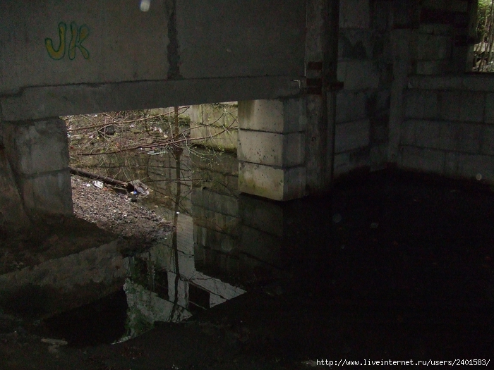 DSCF3205 (700x525, 275Kb)