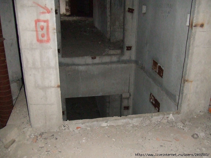 DSCF3069 (700x525, 265Kb)