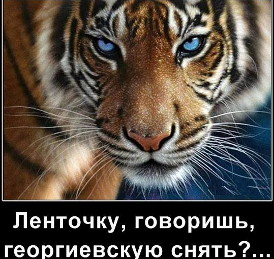 4954089_112664110_4075212_yavatnikraznoemechtapravosekovsnyatlentochky1204117 (539x510, 645Kb)