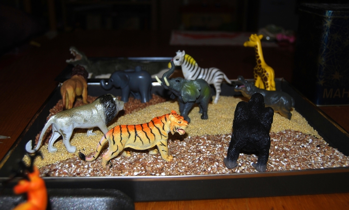 672519_DSC_5635 (700x421, 207Kb)