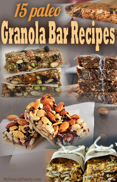 best-Paleo-granola-bars-recipes-1 (450x700, 329Kb)