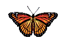 ypapil35 (138x94, 9Kb)