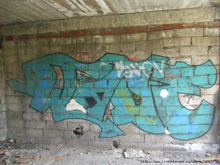 DSCF3231 (700x525, 350Kb)