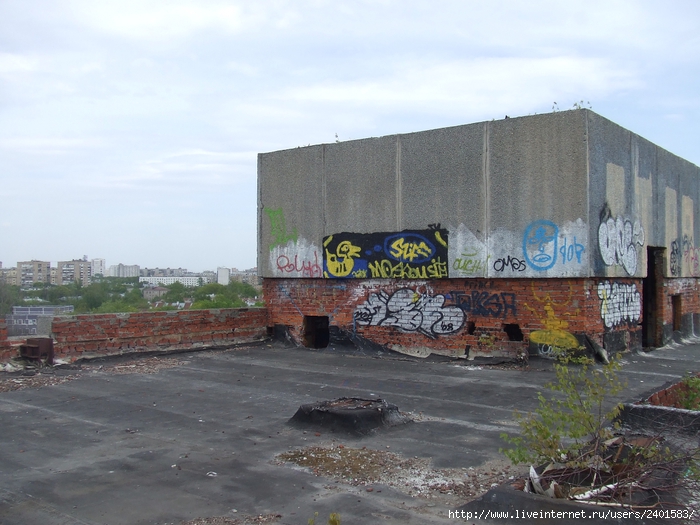 DSCF3295 (700x525, 280Kb)