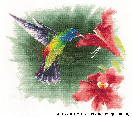 539_Hummingbird in Flight (456x400, 116Kb)
