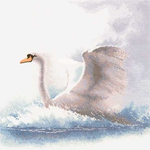  484_Swan in Flight (400x400, 91Kb)