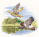  651_Mallard Ducks in Flight (419x400, 110Kb)