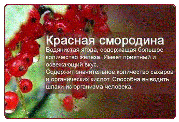 http://img1.liveinternet.ru/images/attach/b/4/112/883/112883193_large_1.png