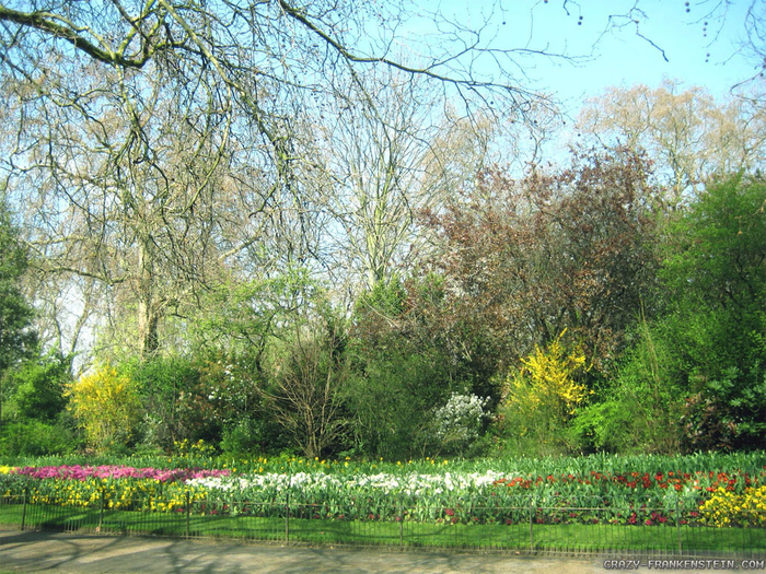 hyde-park-spring-in-london-wallpapers-1024x768 (700x525, 638Kb)