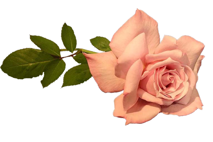 ad97d23dd328 (700x466, 236Kb)