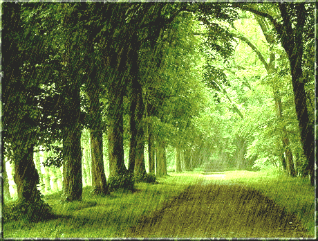 0_3b056_4bb7cb68_-5-L (460x348, 304Kb)