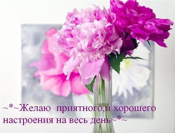 59219435_priyatnogo_i_horoshego_nastroeniya_na_ves_den (600x456, 64Kb)