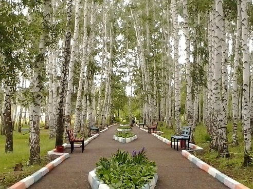 getImage (492x369, 74Kb)