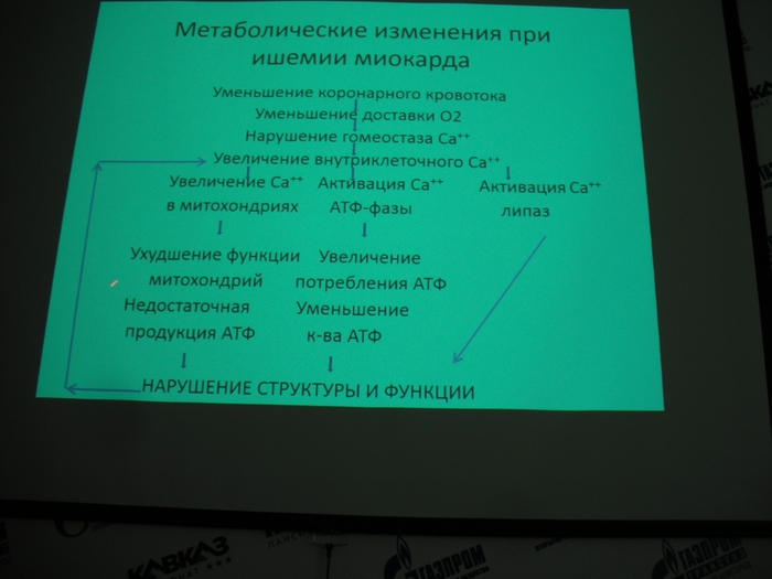   (700x525, 209Kb)