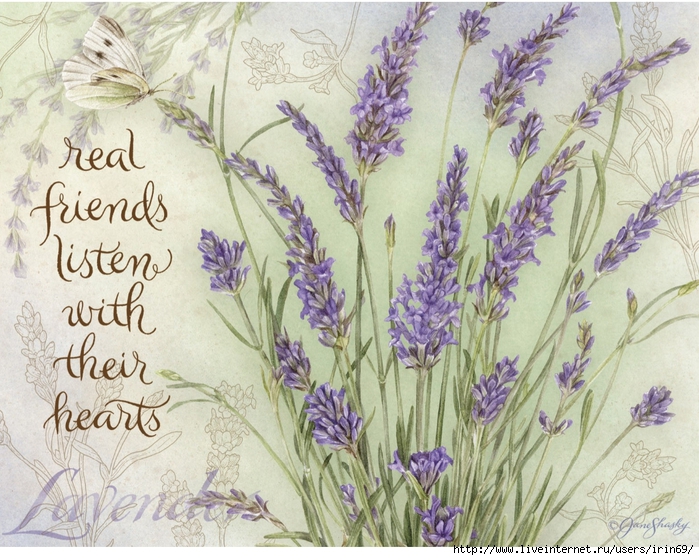 lavender-boxed-notecard-1005297 (700x560, 364Kb)