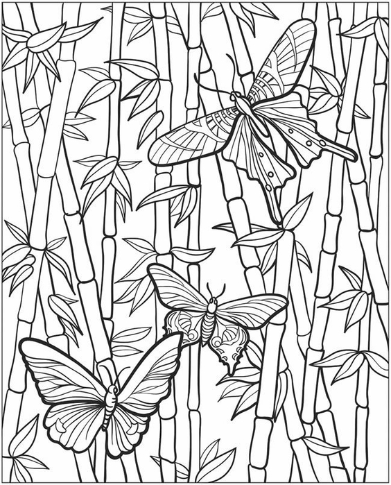 Bamboo Coloring Pages 8