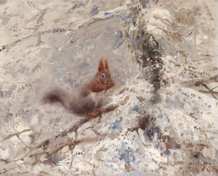 SQUIRREL (700x565, 437Kb)