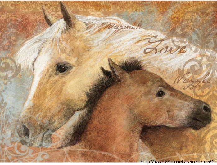 bay-foal-petite-notecard-2080027 (700x534, 375Kb)