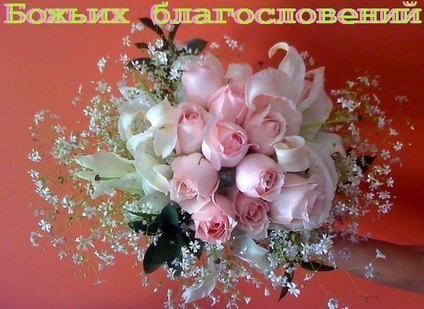 !_1_~1 (600x438, 66Kb)