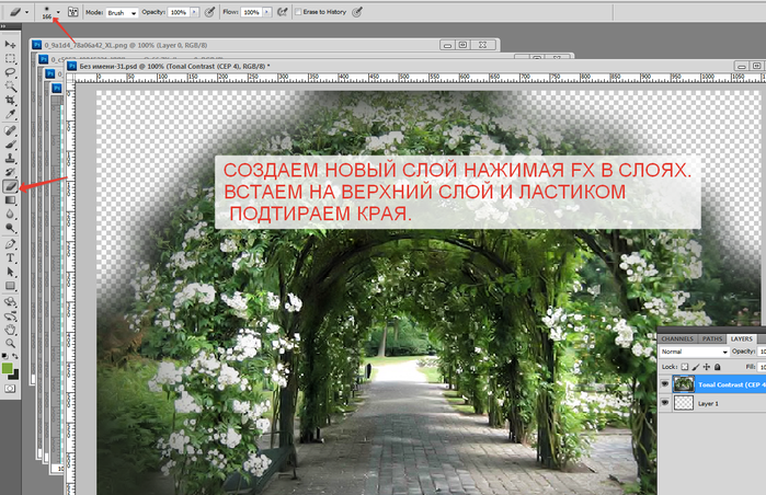 2014-06-08 14-42-22 Без имени-31.psd @ 100% (Tonal Contrast (CEP 4), RGB 8)   (700x452, 495Kb)